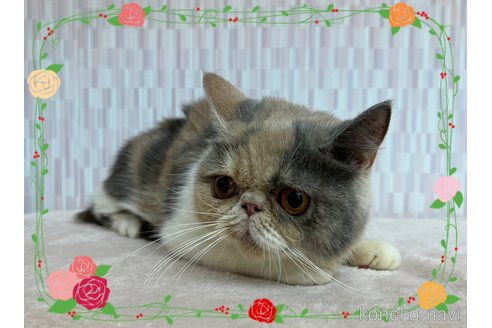 うどんちゃん1枚目
