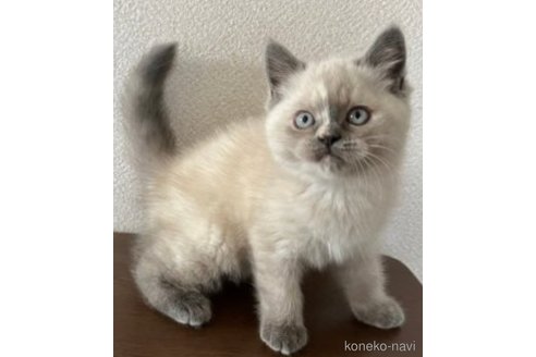 ちゃん1枚目