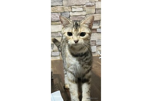 ルイちゃん1枚目