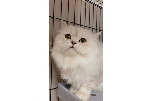 フワくん1枚目
