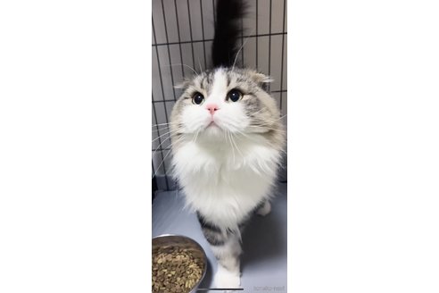 タイロくん1枚目