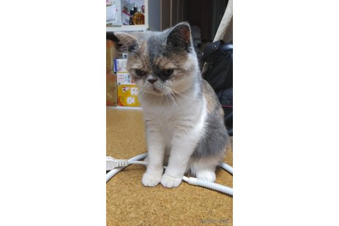 モアナちゃん1枚目
