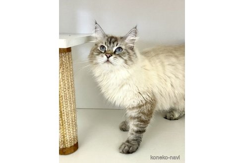 イリダ ちゃん1枚目