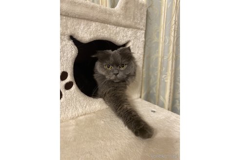 アイちゃん1枚目