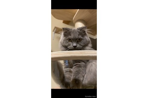 アイちゃん1枚目