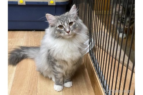 Kururuちゃん1枚目