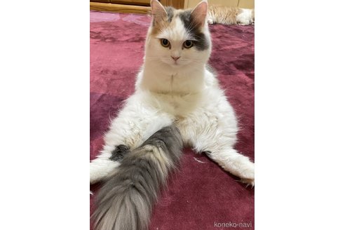 ビジュちゃん1枚目