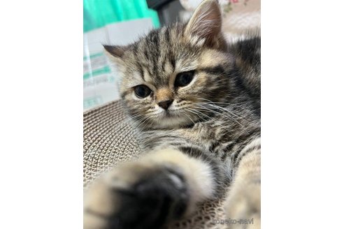マオちゃん1枚目