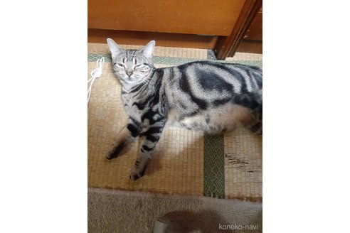 もえちゃん1枚目