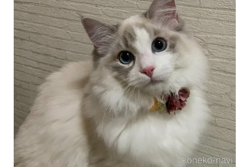 ちゃん1枚目