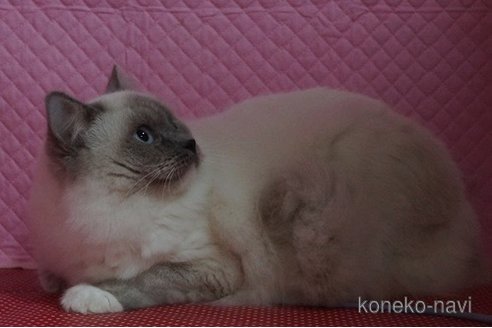 絢くん1枚目
