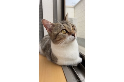 くるみちゃん1枚目