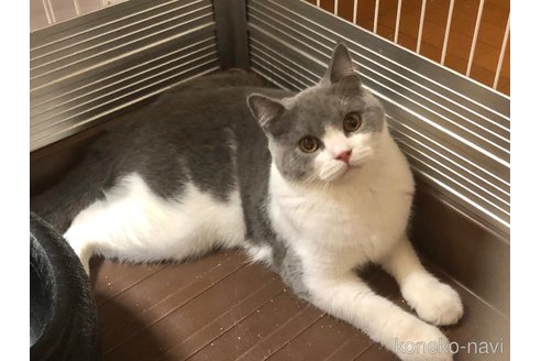 ワンダくん1枚目