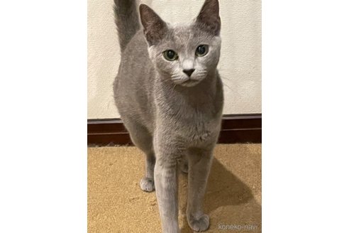 すいかちゃん1枚目