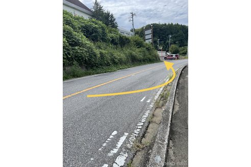成約済の千葉県のマンチカン-92863の5枚目