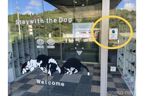 成約済の千葉県のマンチカン-92863の2枚目