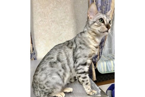 そらちゃん1枚目
