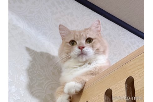 Neneちゃん1枚目