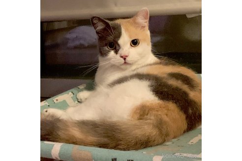 チルちゃん1枚目
