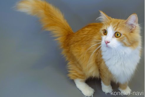 メイちゃん1枚目
