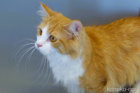 メイちゃん1枚目