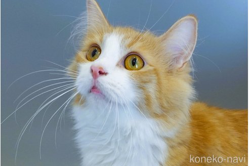 メイちゃん1枚目