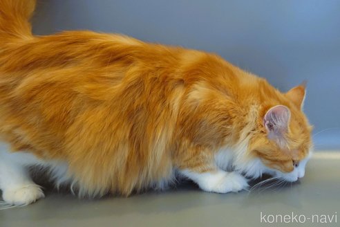 アリシアちゃん1枚目