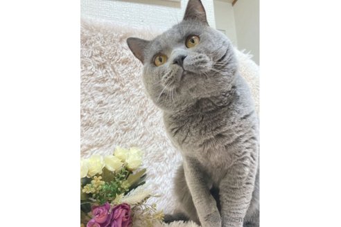 ゲンちゃんくん1枚目