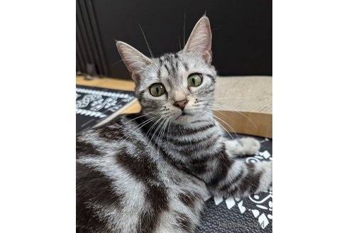 ののかちゃん1枚目