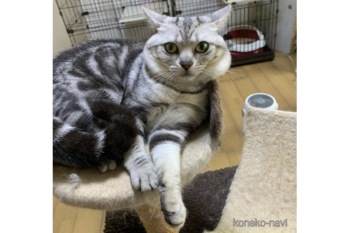 虎太郎くん1枚目