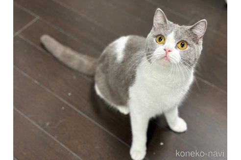 ミトちゃん1枚目