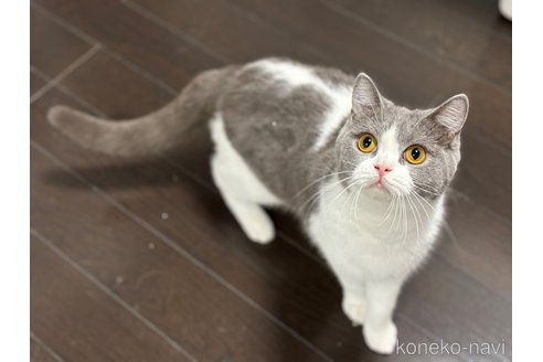 ミトちゃん1枚目