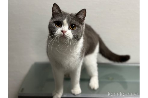 ミトちゃん1枚目