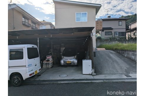 成約済の三重県のブリティッシュショートヘア-96349の3枚目