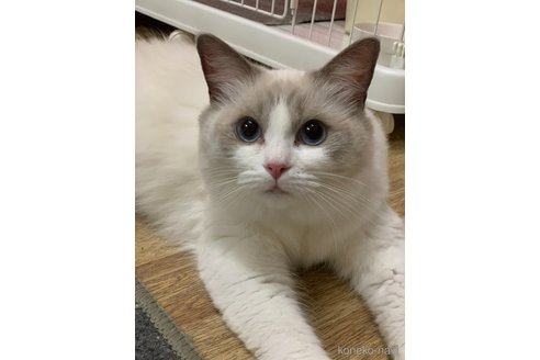 ちゃん1枚目