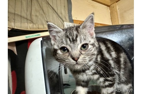 愛ちゃん1枚目