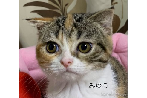 みゆうちゃん1枚目