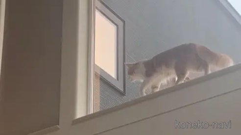 そらくん1枚目