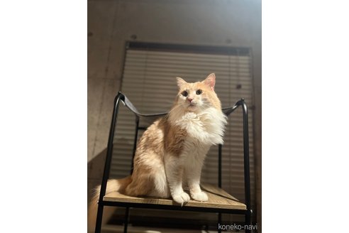 そらくん1枚目