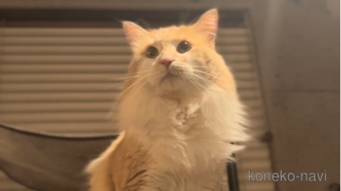 そらくん1枚目
