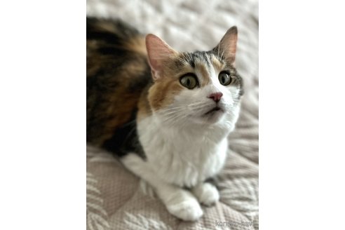 べるちゃん1枚目