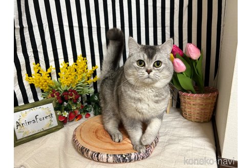シールくん1枚目
