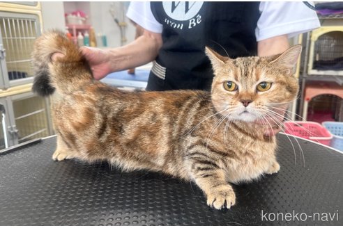 ベルちゃん1枚目