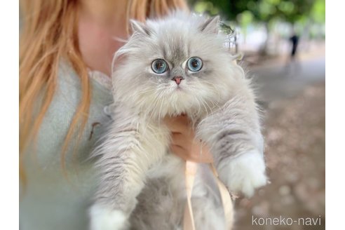 tantanちゃん1枚目