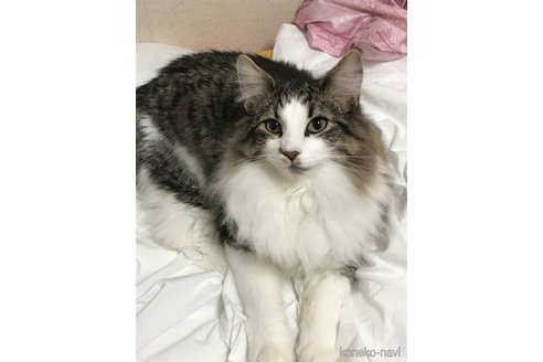 ボルダーくん1枚目