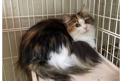 グラーブちゃん1枚目