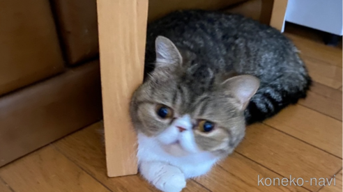 莉菜ちゃん1枚目