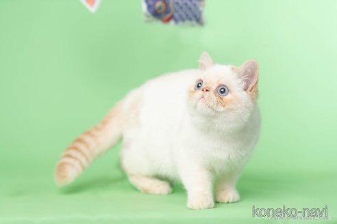 くん1枚目