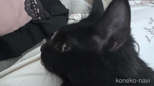 ちゃん1枚目