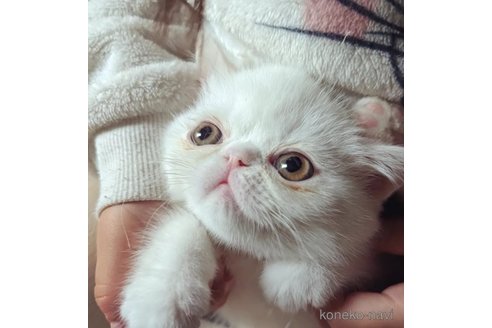 あむちゃん1枚目